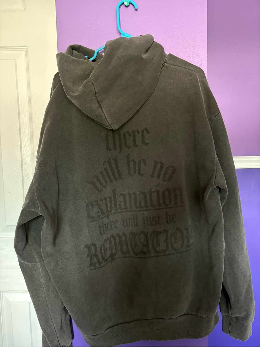 Taylor Swift Reputation Era Snake Heavy Hoodie - Picture 6 of 6